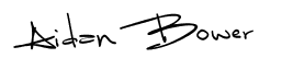 Edge On Horses - Signature - Aidan Bower